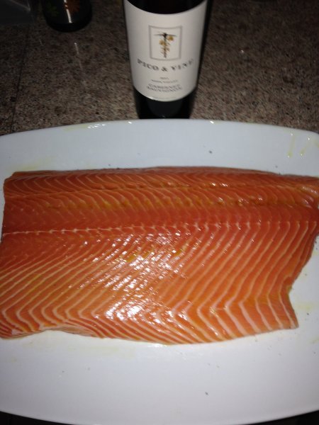 Wood Stove Salmon 15a.jpg