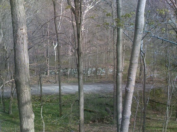 DSCF0005.JPG