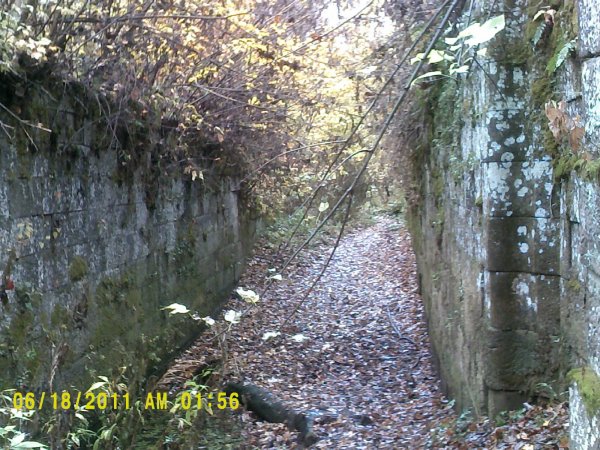 DSCF0084.JPG