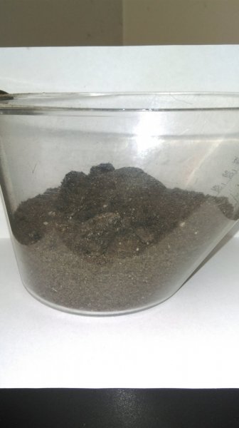 IMAG0530.jpg