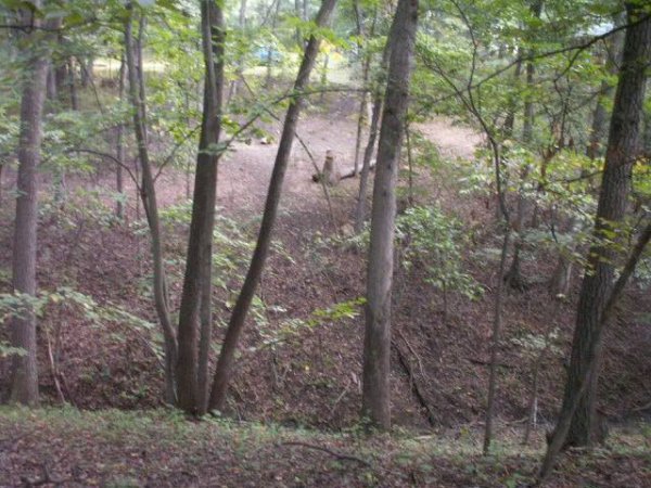 looking mostly north from north trail on top of ridge across ravine sept 2013.jpg