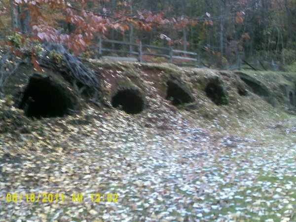 DSCF0039.JPG