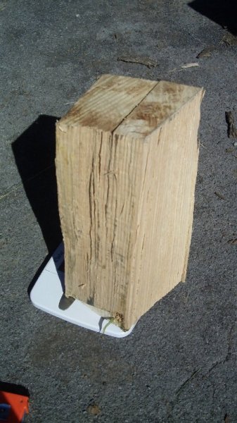 091911 fresh oak on the scale2.jpg