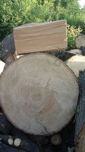 082711 oak round and split.jpg