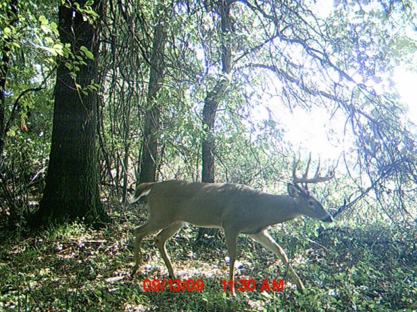 Kingwood10-15 090.jpg