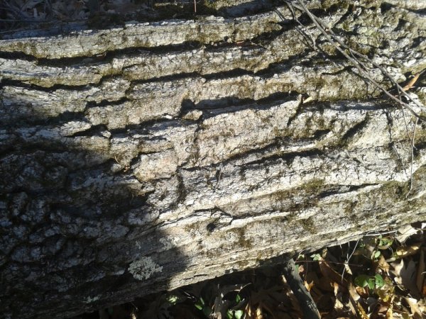 20131130_085820.jpg