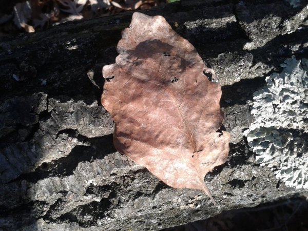 20131130_085741.jpg