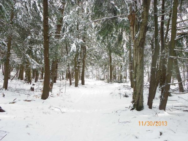 100_8262.JPG