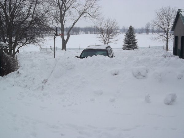 snow2015march 002.JPG