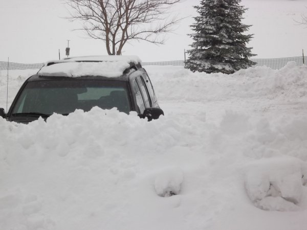 snow2015march 018.JPG