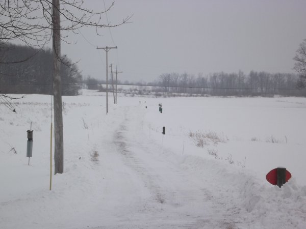 snow2015march 011.JPG