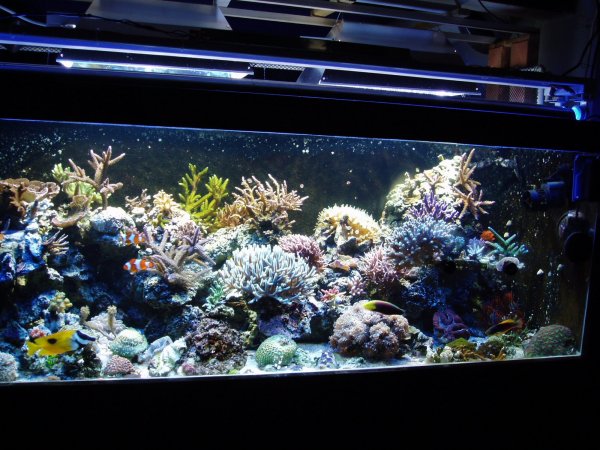 Copy of P1010100.JPG