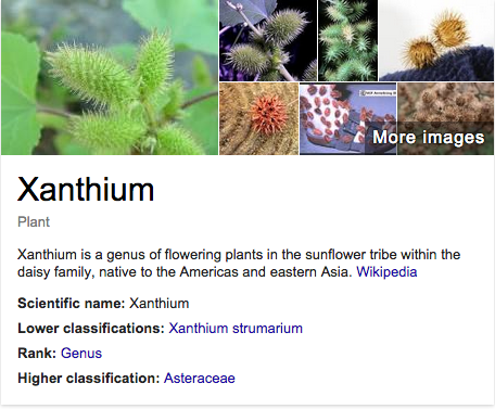 Screen Shot 2015-03-04 at 2.08.08 PM.png