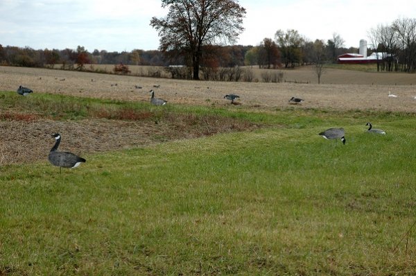 DSC_0041.20 percent.jpg