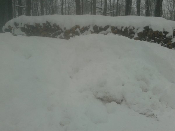 20150305_143513.jpg