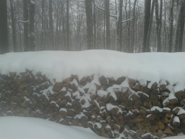 20150305_155935.jpg