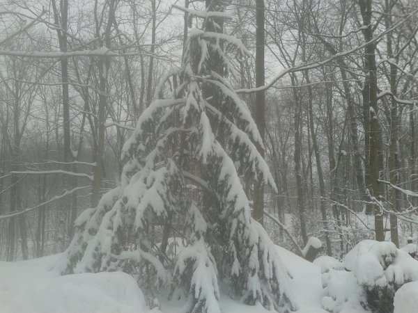 20150305_160216.jpg