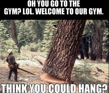 loggers world gym.jpg