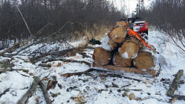 20150308_115822.jpg