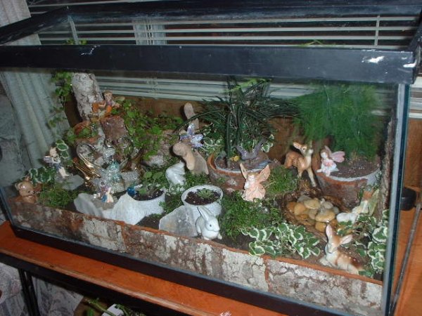 terrarium (9).JPG