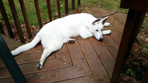 20140720_121048.jpg