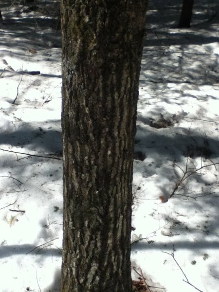 IMG_0059.JPG