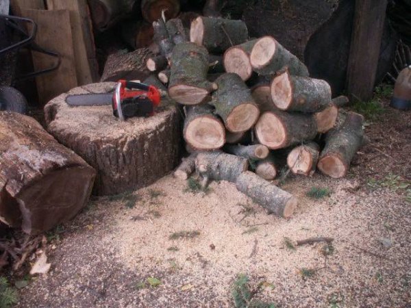 echo 280e white pine june 2014.jpg