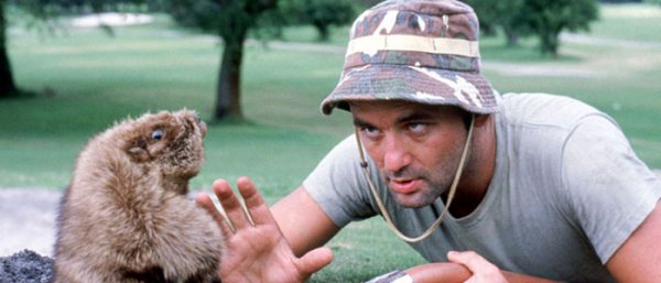 caddyshack3-front.jpg