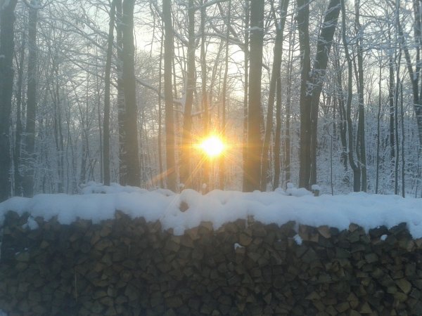 20150321_072430.jpg