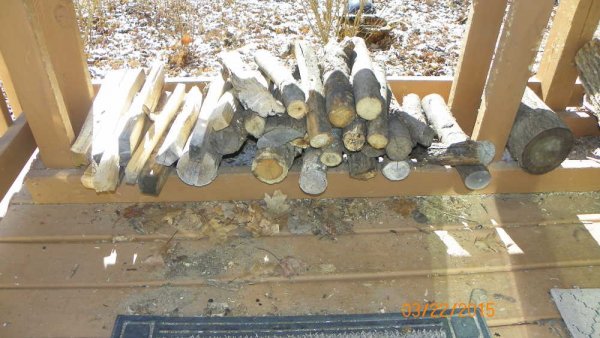 Small wood.JPG