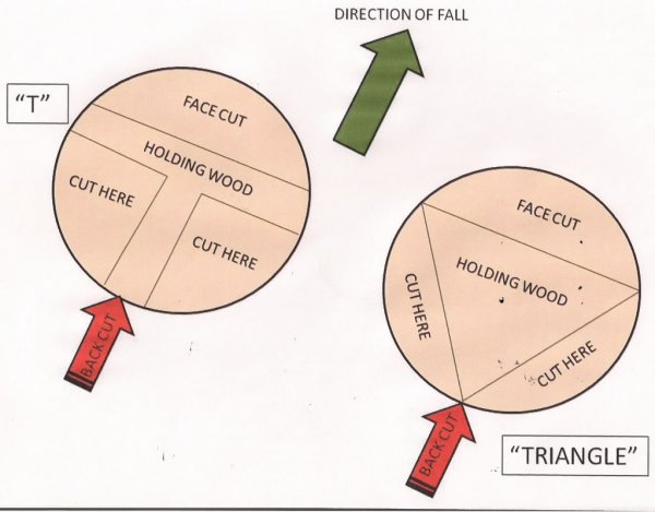 hpqscan0001-1  Coos Bay cut.jpg