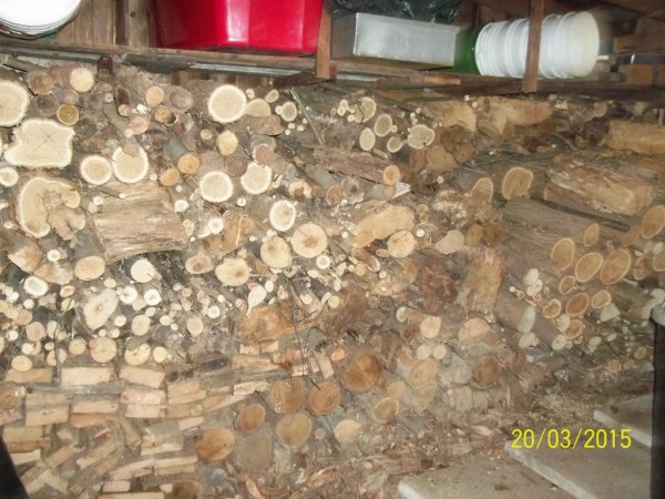 100_0249 (1024x768).jpg