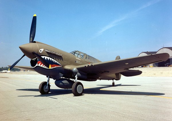mustang teeth.best.jpg