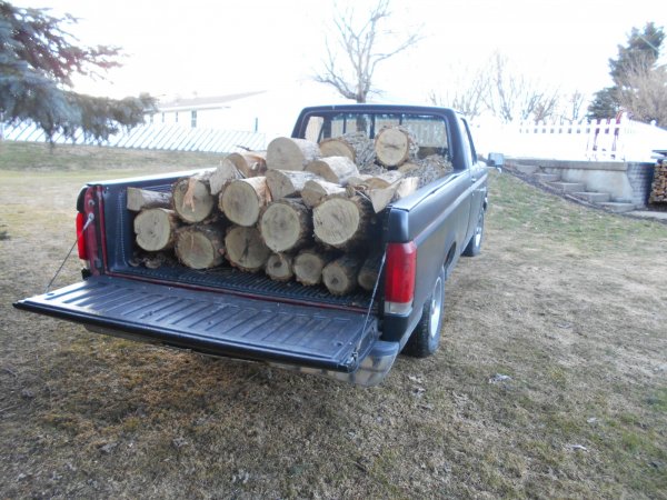 march 31 Locust 002.jpg