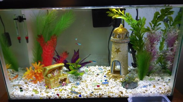 2015-04-03 12.44.44.jpg