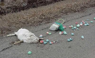 easter_roadkill.JPG