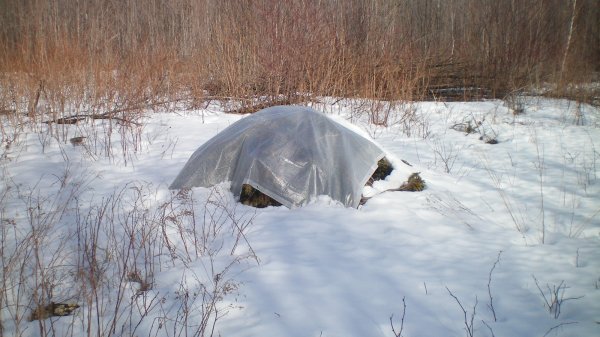 100_0011.JPG