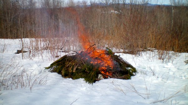 100_0019.JPG