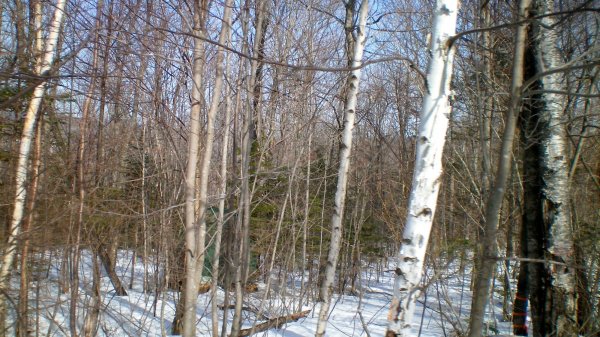 100_0008.JPG