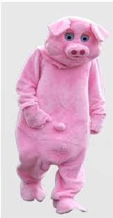 pig suit.jpeg