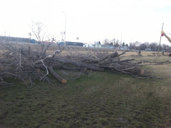 20150409_184417.jpg
