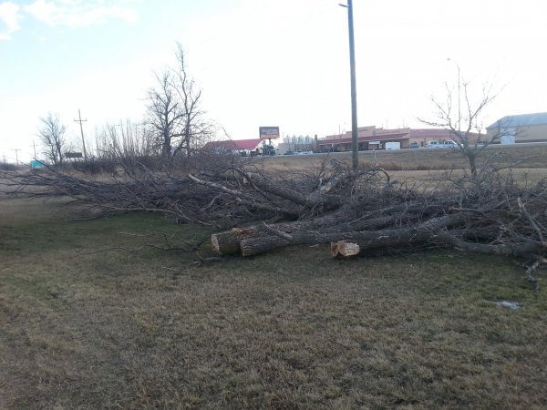 20150409_184445.jpg