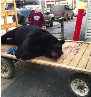 allan bear.jpg