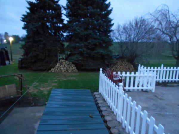 April 13 Locust 003.jpg