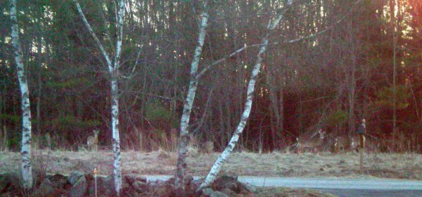 100_0021.JPG