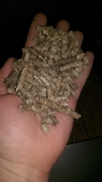 IMAG0604.jpg