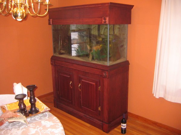 90 gallon pics 026.jpg