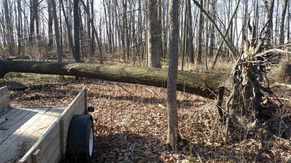 20150424_092529.jpg