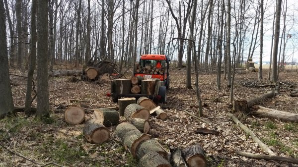 20150425_164243.jpg