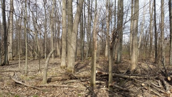 20150425_164317.jpg